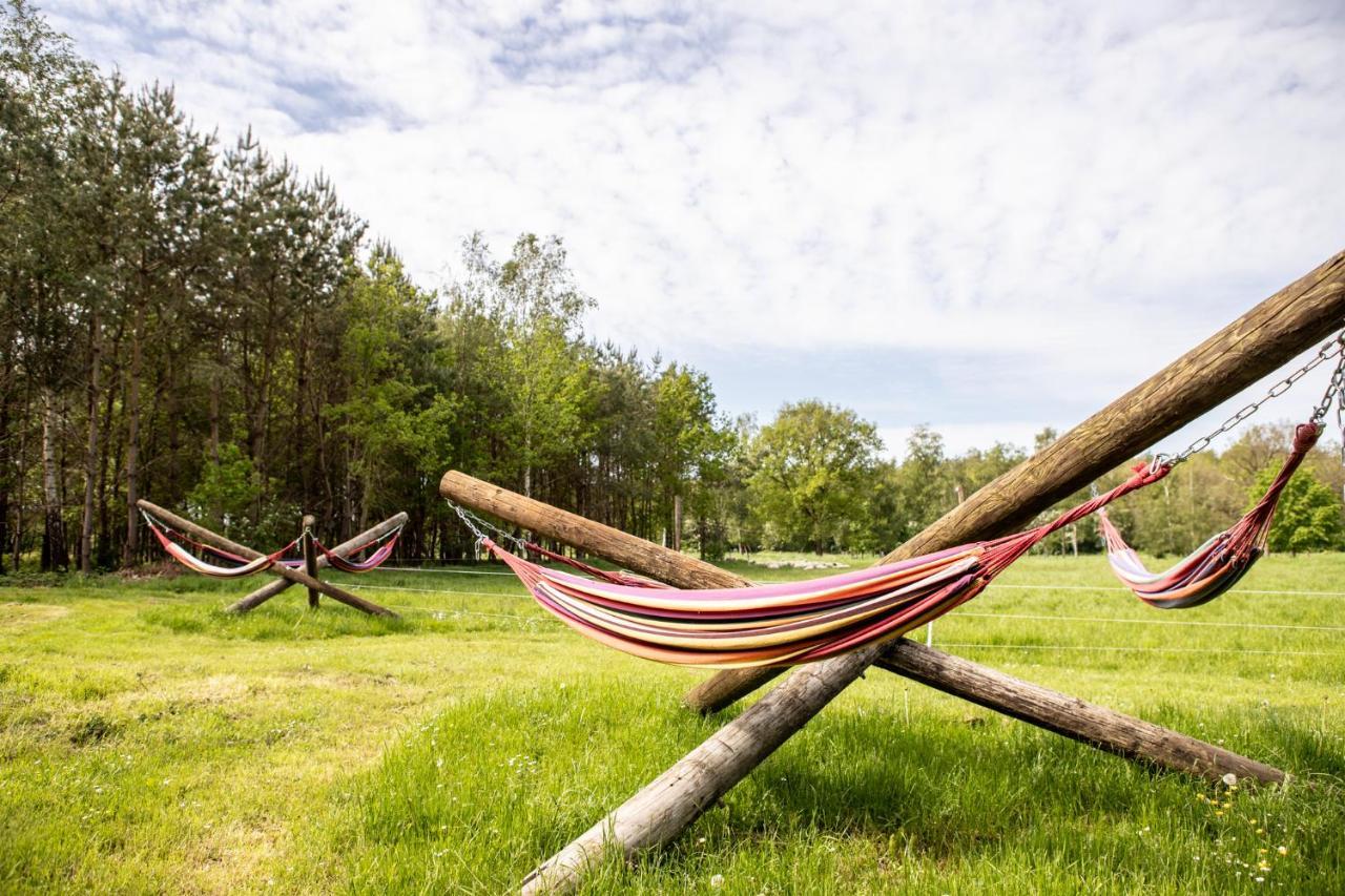 Natuur Lodge Blesdijke ภายนอก รูปภาพ